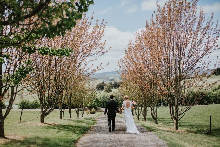 FB Bride and Groom walking lane Nest I